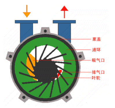 水環(huán)式真空泵操作規(guī)程