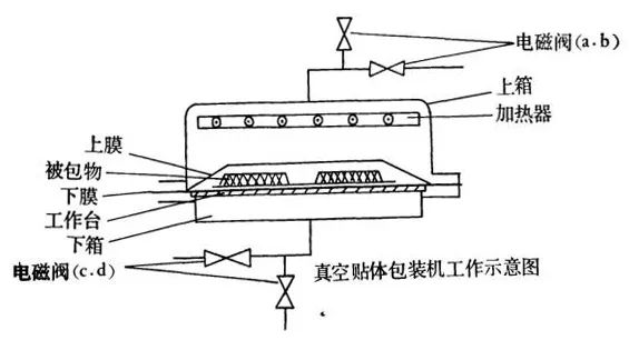 后疫情時(shí)代，預(yù)制菜為何逆勢(shì)上漲？核心技術(shù)和真空有關(guān)！