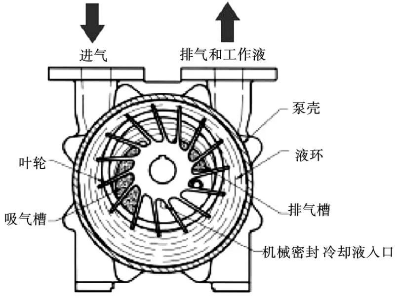 液環(huán)真空泵在油脂領域的應用