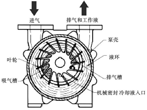 水環真空泵的應用